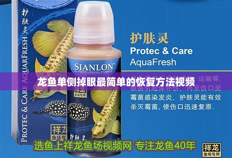 龍魚單側掉眼最簡單的恢復方法視頻