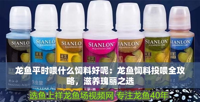 龍魚平時喂什么飼料好呢：龍魚飼料投喂全攻略，滋養瑰麗之選