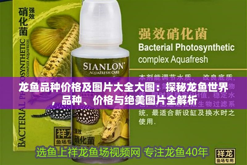龍魚品種價格及圖片大全大圖：探秘龍魚世界，品種、價格與絕美圖片全解析