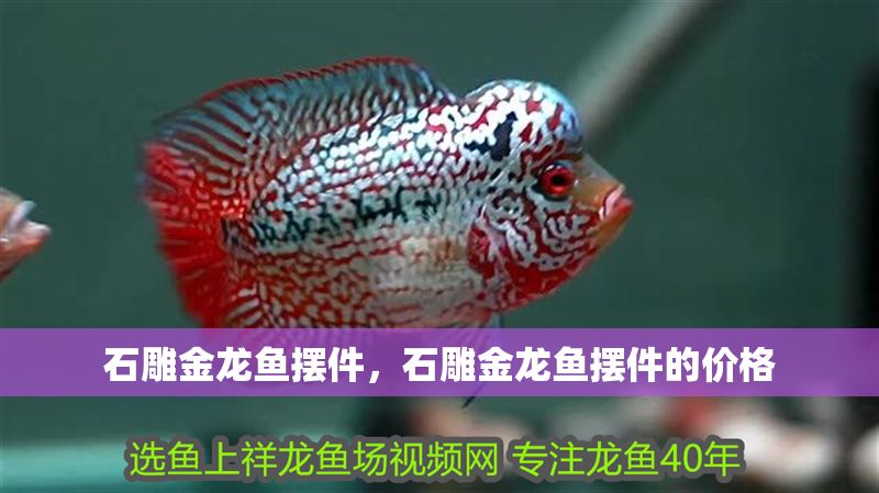 石雕金龍魚擺件，石雕金龍魚擺件的價格