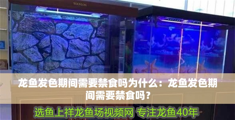 龍魚發色期間需要禁食嗎為什么：龍魚發色期間需要禁食嗎？
