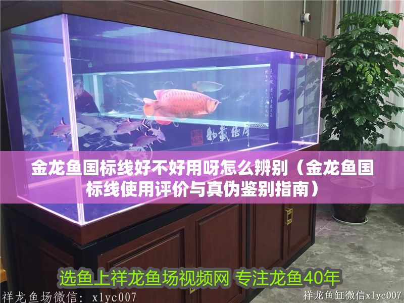 金龍魚國標(biāo)線好不好用呀怎么辨別（金龍魚國標(biāo)線使用評價與真?zhèn)舞b別指南）
