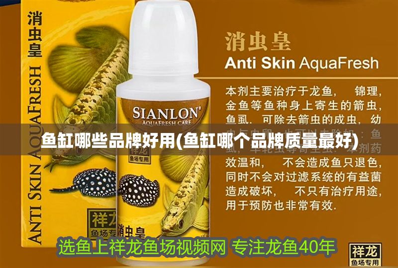 魚缸哪些品牌好用(魚缸哪個品牌質量最好)