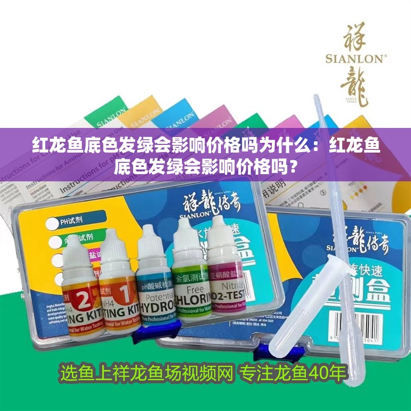 紅龍魚底色發綠會影響價格嗎為什么：紅龍魚底色發綠會影響價格嗎？