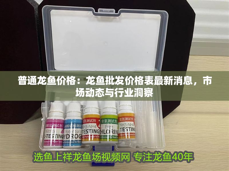 普通龍魚價格：龍魚批發價格表最新消息，市場動態與行業洞察