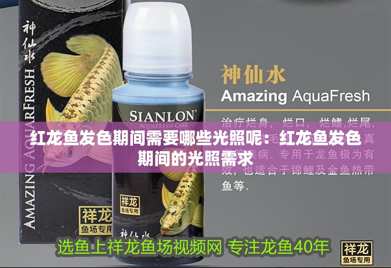 紅龍魚發色期間需要哪些光照呢：紅龍魚發色期間的光照需求