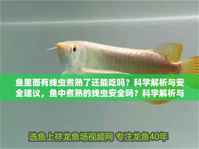 魚里面有線蟲(chóng)煮熟了還能吃嗎？科學(xué)解析與安全建議，魚中煮熟的線蟲(chóng)安全嗎？科學(xué)解析與食用建議