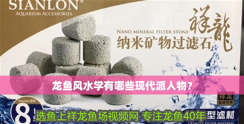 龍魚風(fēng)水學(xué)有哪些現(xiàn)代派人物？