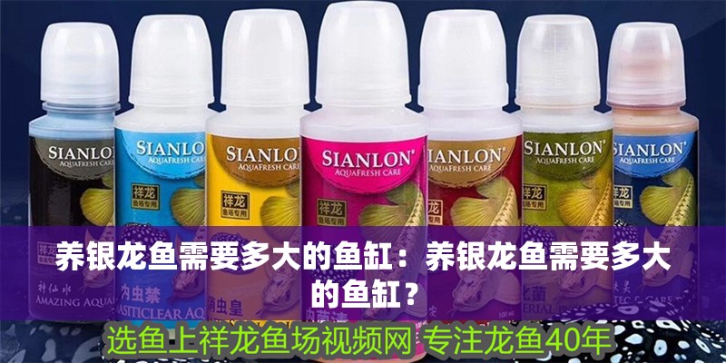 養銀龍魚需要多大的魚缸：養銀龍魚需要多大的魚缸？