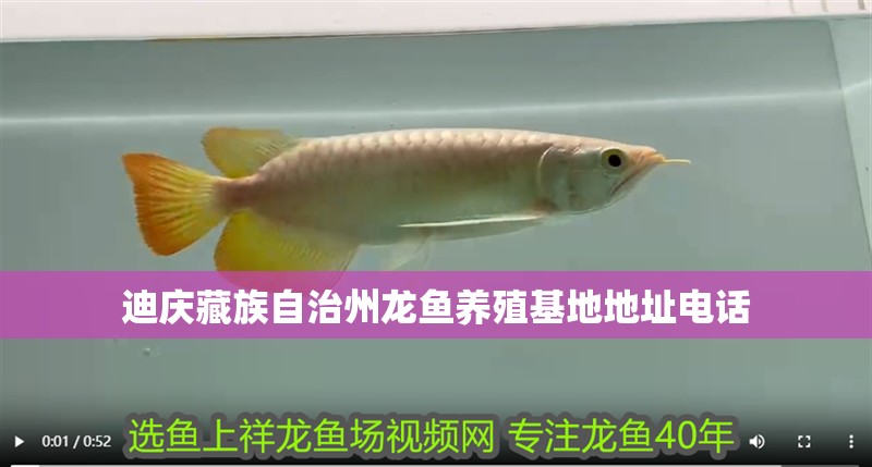 迪慶藏族自治州龍魚養殖基地地址電話 迪慶藏族自治州龍魚養殖基地地址電話 龍魚百科