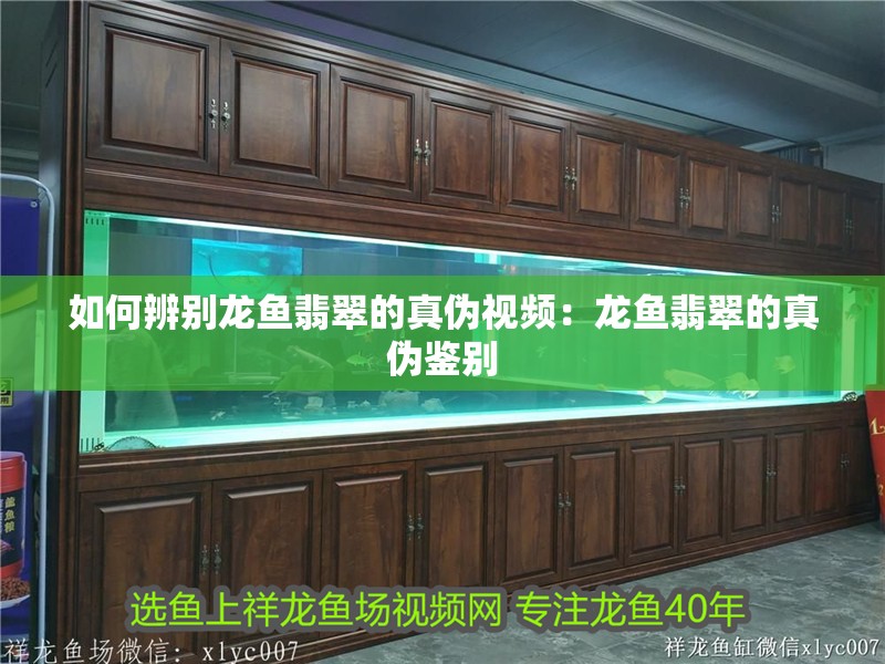如何辨別龍魚翡翠的真偽視頻：龍魚翡翠的真偽鑒別