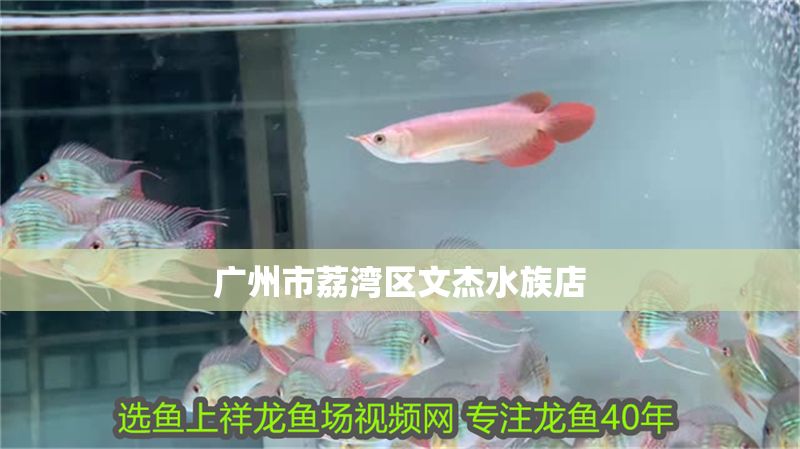 廣州市荔灣區(qū)文杰水族店