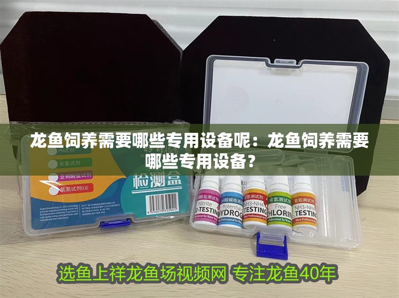 龍魚飼養需要哪些專用設備呢：龍魚飼養需要哪些專用設備？