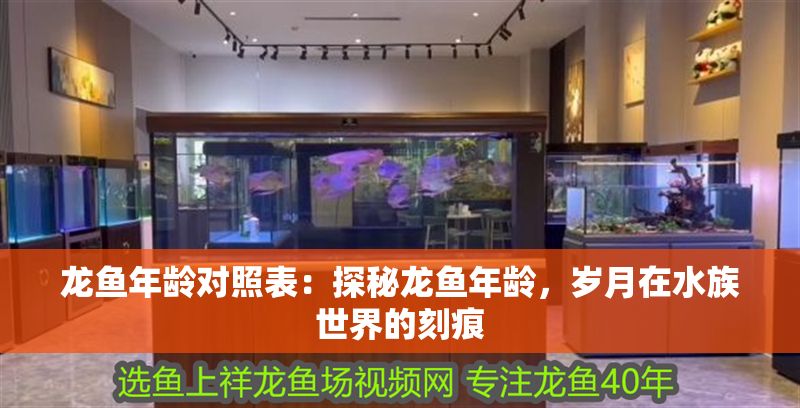 龍魚年齡對照表：探秘龍魚年齡，歲月在水族世界的刻痕