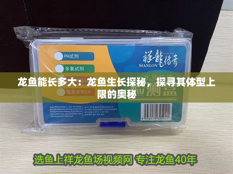 龍魚(yú)能長(zhǎng)多大：龍魚(yú)生長(zhǎng)探秘，探尋其體型上限的奧秘