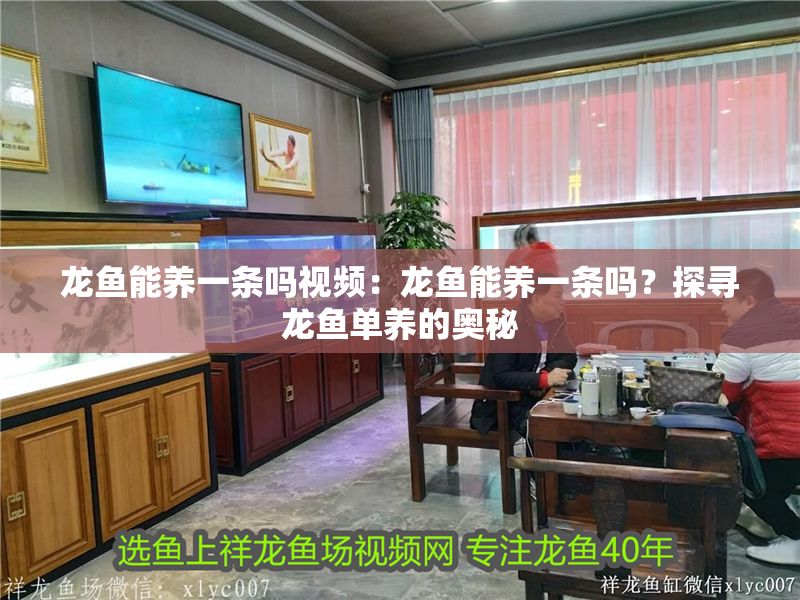 龍魚能養一條嗎視頻：龍魚能養一條嗎？探尋龍魚單養的奧秘