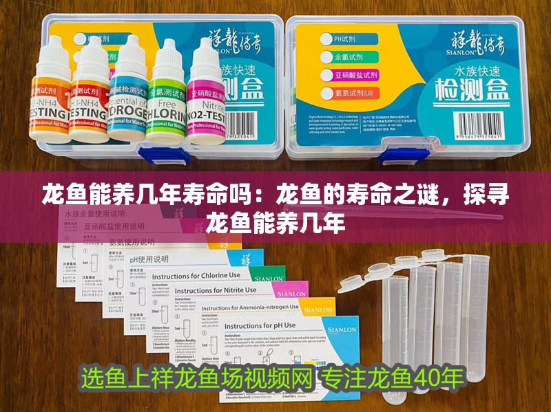 龍魚能養幾年壽命嗎：龍魚的壽命之謎，探尋龍魚能養幾年
