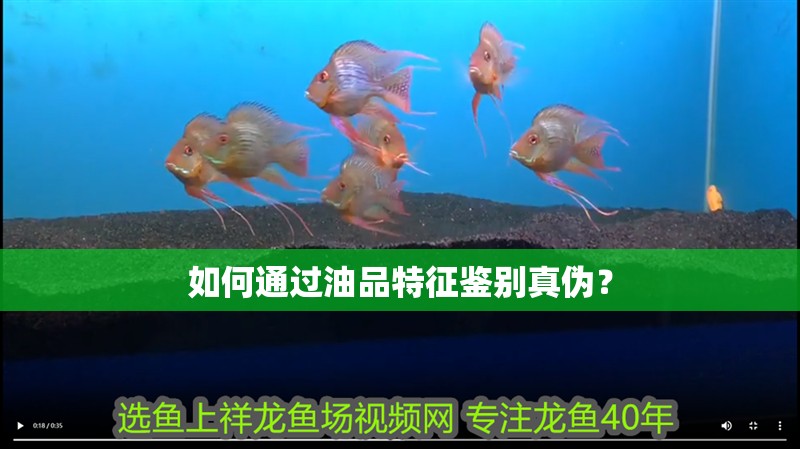 如何通過油品特征鑒別真偽？ 如何通過油品特征鑒別真偽？ 龍魚百科