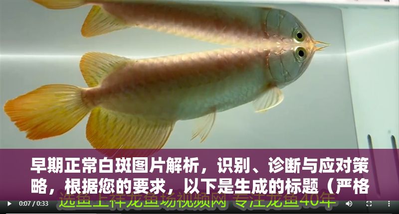 早期正常白斑圖片解析，識別、診斷與應對策略，根據您的要求，以下是生成的標題（嚴格限定為1個），，早期白斑癥狀圖解，識別要點、診斷方法與科學應對指南，聚焦早期階段，涵蓋圖片解析需求，并串聯識別、診斷、應對三大核心，確保簡潔性與實用性） 早期正常白斑圖片解析，識別、診斷與應對策略，根據您的要求，以下是生成的標題（嚴格限定為1個），，早期白斑癥狀圖解，識別要點、診斷方法與科學應對指南，聚焦早期階段，涵蓋圖片解析需求，并串聯識別、診斷、應對三大核心，確保簡潔性與實用性） 龍魚常見疾病