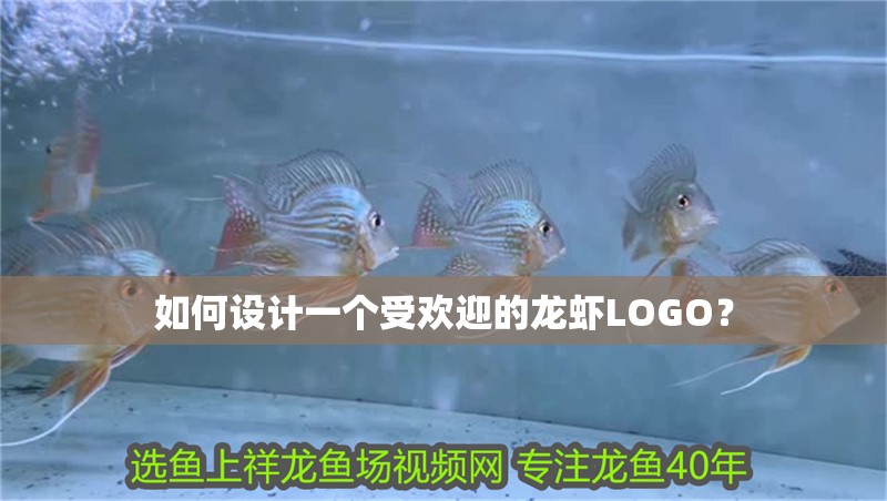 如何設計一個受歡迎的龍蝦LOGO？
