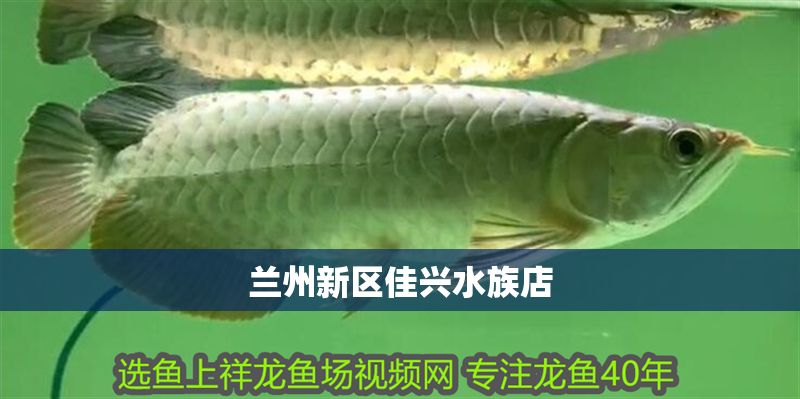 蘭州新區(qū)佳興水族店