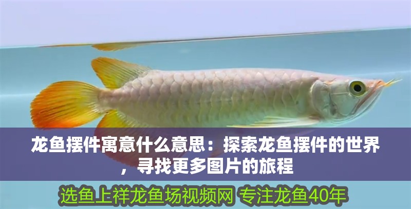 龍魚擺件寓意什么意思：探索龍魚擺件的世界，尋找更多圖片的旅程
