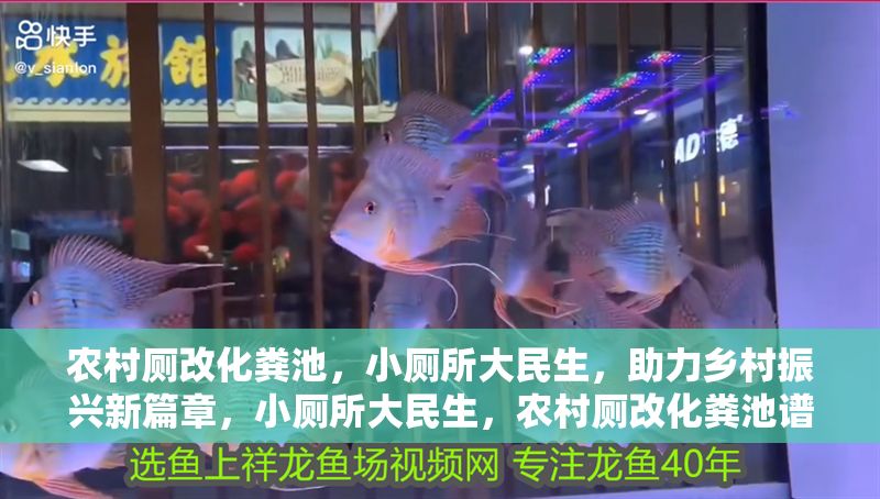 農村廁改化糞池，小廁所大民生，助力鄉村振興新篇章，小廁所大民生，農村廁改化糞池譜寫鄉村振興新篇章 農村廁改化糞池，小廁所大民生，助力鄉村振興新篇章，小廁所大民生，農村廁改化糞池譜寫鄉村振興新篇章 龍魚百科 第1張