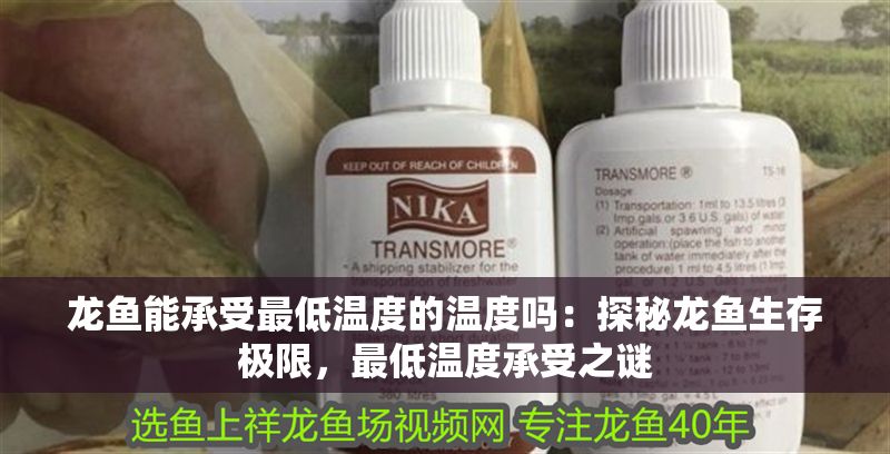龍魚能承受最低溫度的溫度嗎：探秘龍魚生存極限，最低溫度承受之謎