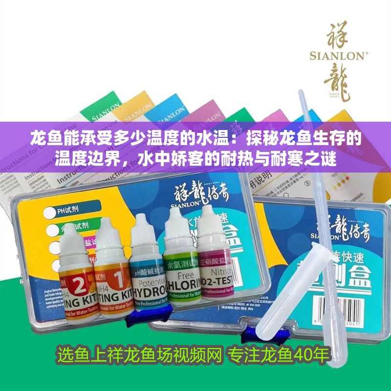 龍魚能承受多少溫度的水溫：探秘龍魚生存的溫度邊界，水中嬌客的耐熱與耐寒之謎