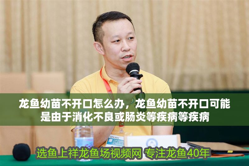龍魚幼苗不開口怎么辦，龍魚幼苗不開口可能是由于消化不良或腸炎等疾病等疾病