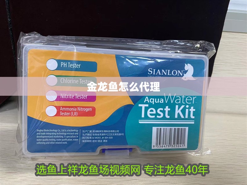 金龍魚怎么代理