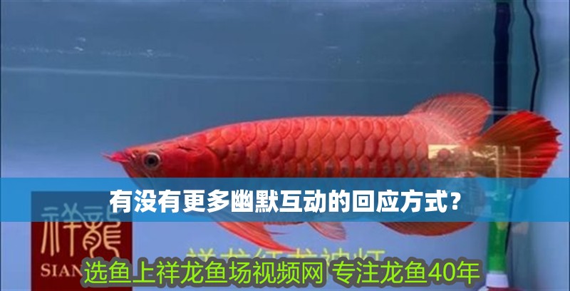 成年金龍魚能長多少厘米高：成年金龍魚能長多大,金龍魚能長多大,