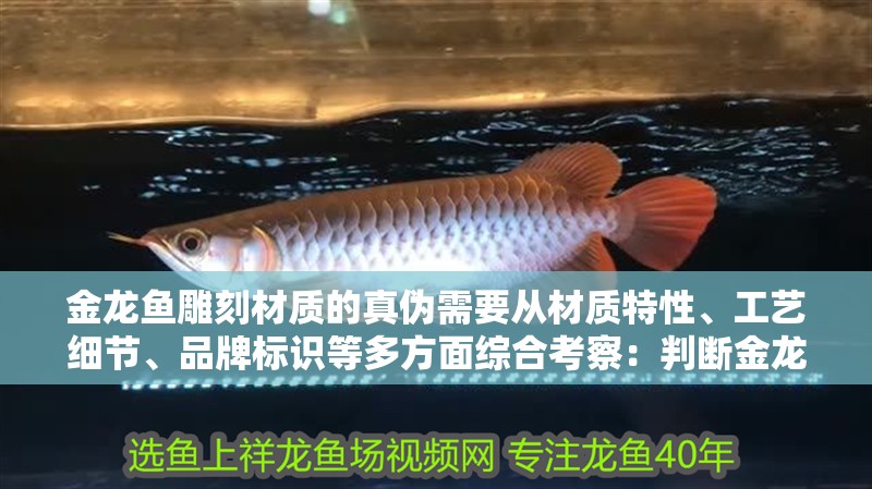 金龍魚雕刻材質(zhì)的真?zhèn)涡枰獜牟馁|(zhì)特性、工藝細(xì)節(jié)、品牌標(biāo)識等多方面綜合考察：判斷金龍魚雕刻材質(zhì)的真?zhèn)涡枰獜牟馁|(zhì)特性、工藝細(xì)節(jié)、品牌標(biāo)識等多方面綜合考察