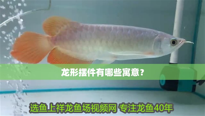 龍形擺件有哪些寓意？