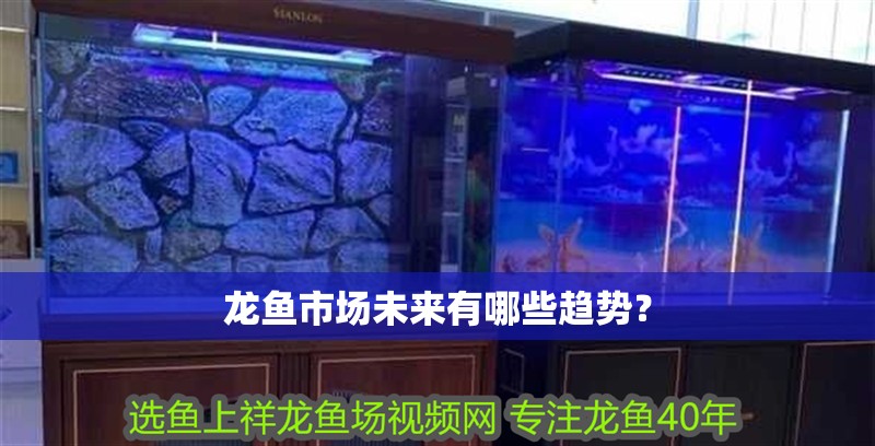龍魚市場未來有哪些趨勢？