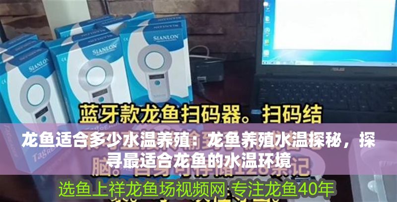 龍魚適合多少水溫養(yǎng)殖：龍魚養(yǎng)殖水溫探秘，探尋最適合龍魚的水溫環(huán)境