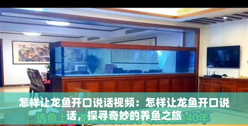 怎樣讓龍魚開(kāi)口說(shuō)話視頻：怎樣讓龍魚開(kāi)口說(shuō)話，探尋奇妙的養(yǎng)魚之旅