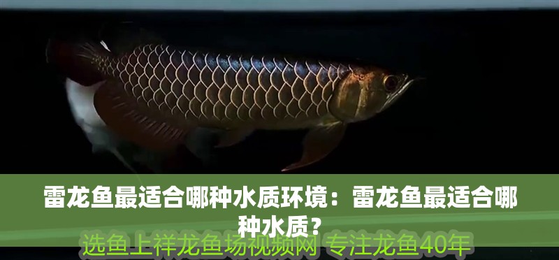 雷龍魚最適合哪種水質(zhì)環(huán)境：雷龍魚最適合哪種水質(zhì)？