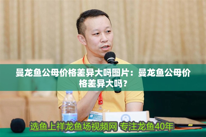 曼龍魚公母價格差異大嗎圖片：曼龍魚公母價格差異大嗎？