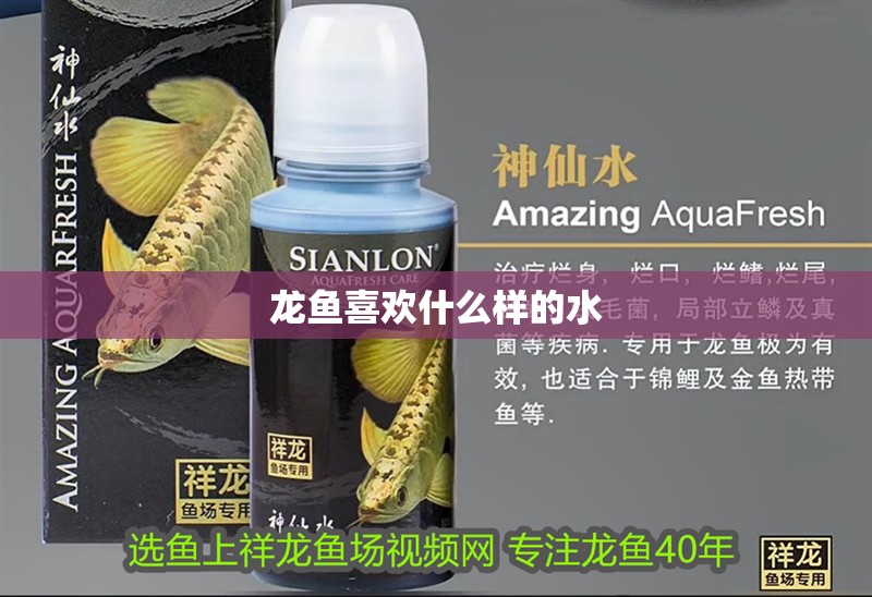 龍魚喜歡什么樣的水