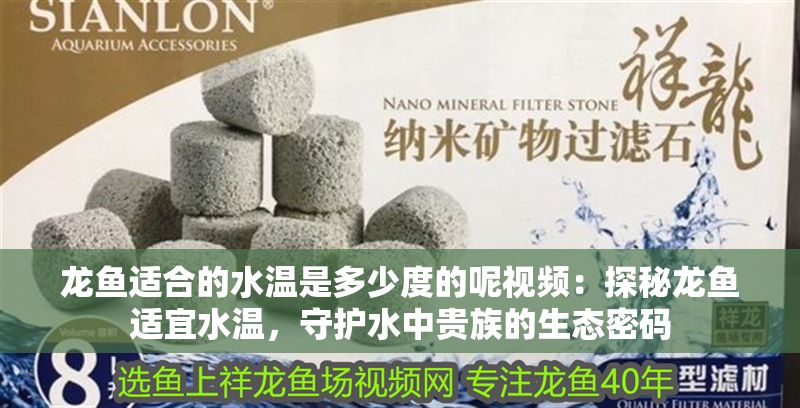 龍魚適合的水溫是多少度的呢視頻：探秘龍魚適宜水溫，守護(hù)水中貴族的生態(tài)密碼