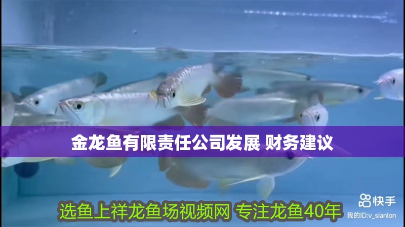 金龍魚有限責任公司發(fā)展 財務(wù)建議