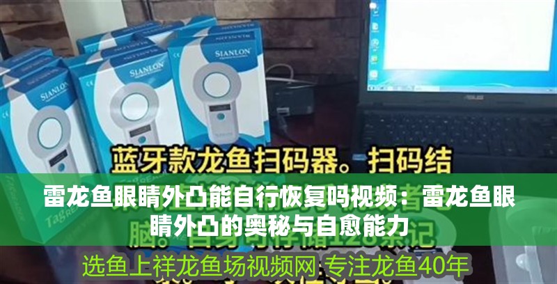 雷龍魚眼睛外凸能自行恢復嗎視頻：雷龍魚眼睛外凸的奧秘與自愈能力
