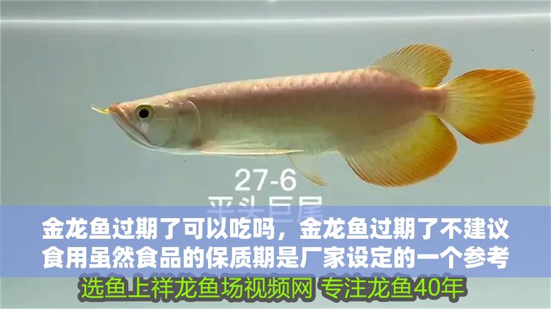 金龍魚過期了可以吃嗎，金龍魚過期了不建議食用雖然食品的保質期是廠家設定的一個參考 金龍魚過期了可以吃嗎，金龍魚過期了不建議食用雖然食品的保質期是廠家設定的一個參考 龍魚百科 第6張