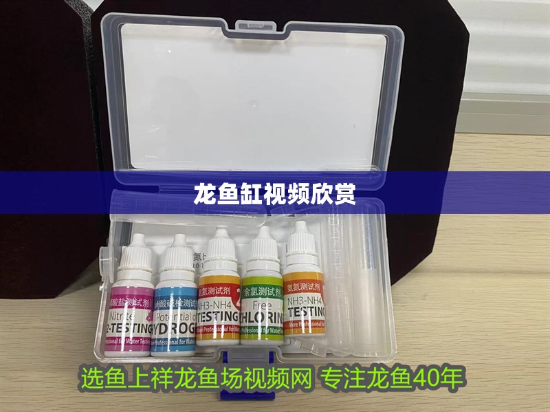 給大魚缸換水的作文:體驗給大魚缸換水的樂趣:體驗給大魚缸換水:給大魚缸換水的作文 龍魚缸視頻欣賞 龍魚百科 龍魚缸視頻欣賞 龍魚缸視頻欣賞 龍魚百科