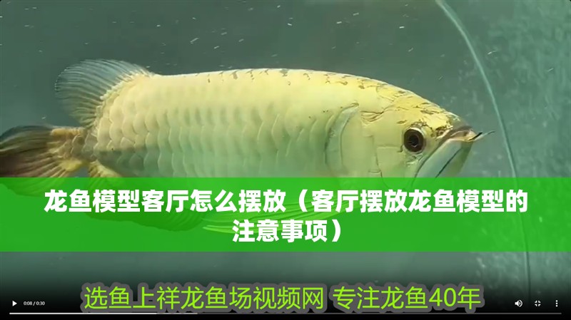 龍魚模型客廳怎么擺放（客廳擺放龍魚模型的注意事項）