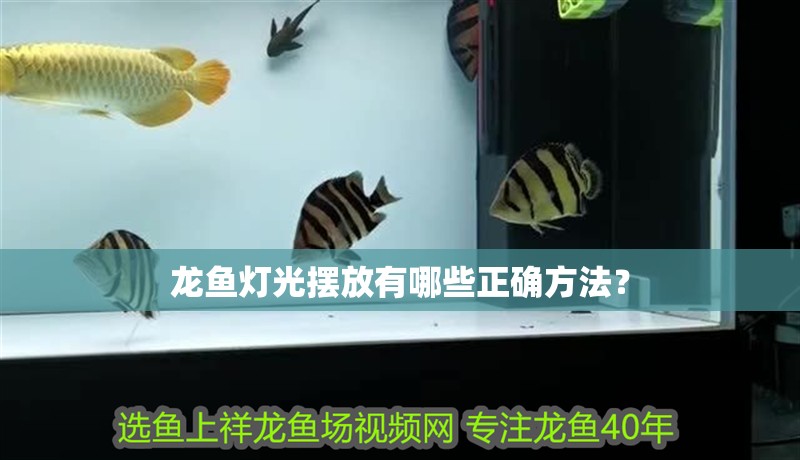 龍魚燈光擺放有哪些正確方法？ 龍魚燈光擺放有哪些正確方法？ 龍魚百科