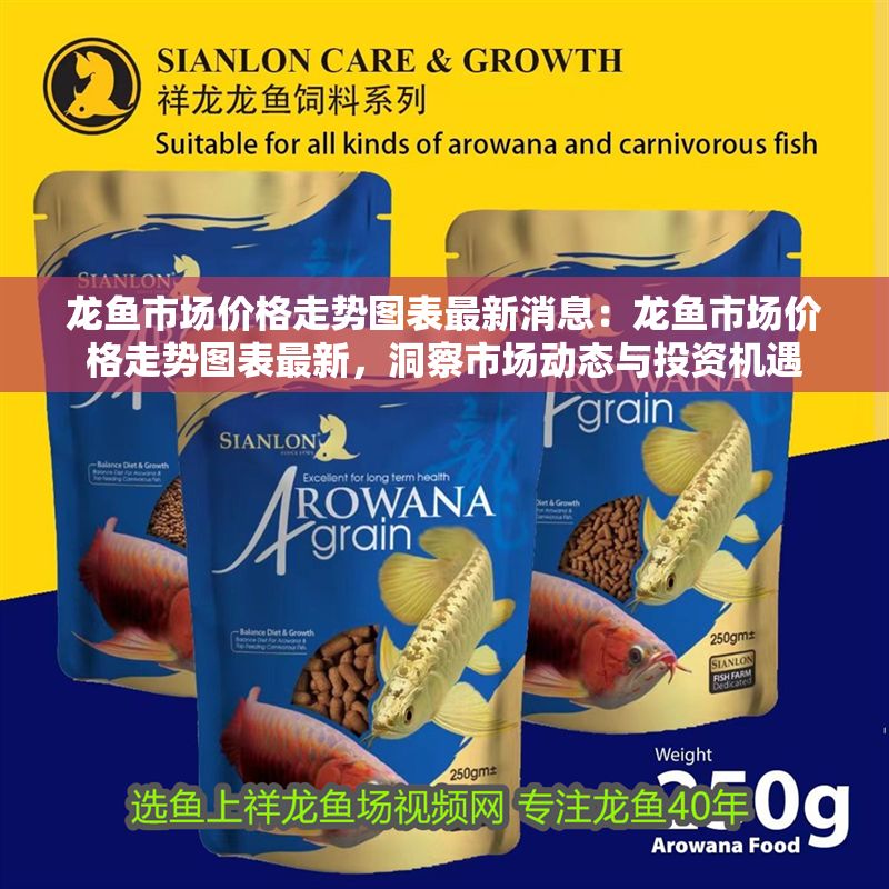 龍魚市場價格走勢圖表最新消息：龍魚市場價格走勢圖表最新，洞察市場動態與投資機遇