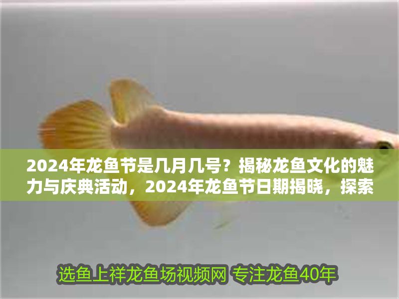 2024年龍魚節是幾月幾號？揭秘龍魚文化的魅力與慶典活動，2024年龍魚節日期揭曉，探索龍魚文化魅力與精彩慶典活動