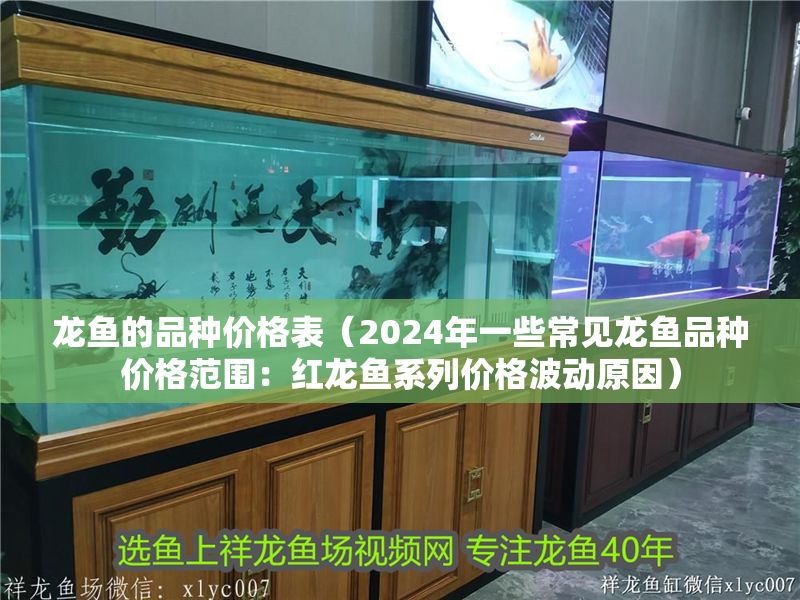 龍魚的品種價格表（2024年一些常見龍魚品種價格范圍：紅龍魚系列價格波動原因） 龍魚的品種價格表（2024年一些常見龍魚品種價格范圍：紅龍魚系列價格波動原因） 龍魚百科 第2張